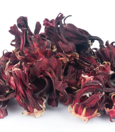 Hibiscus-1-2048x1365