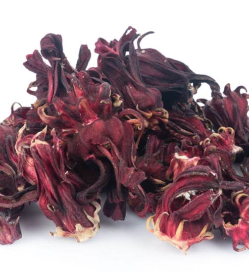 Hibiscus-1-2048x1365