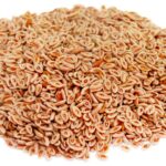 Psyllium
