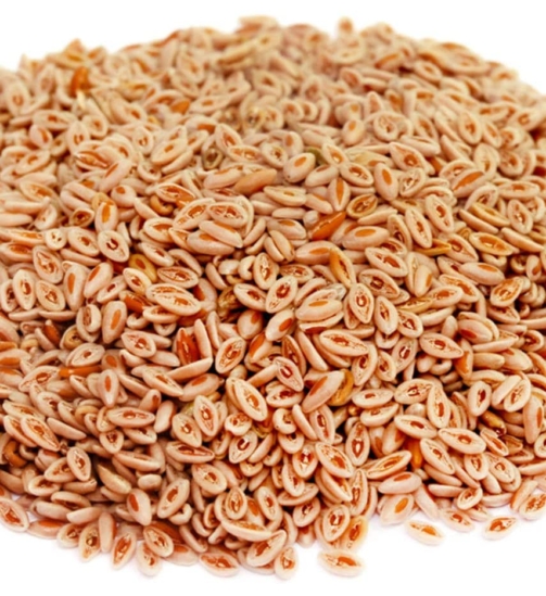 Psyllium