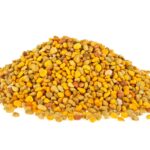 graines-de-pollen