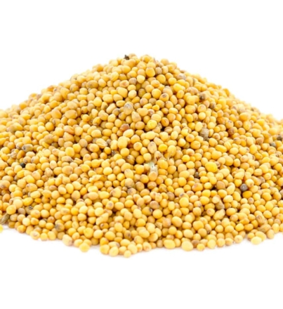 mustard-graines