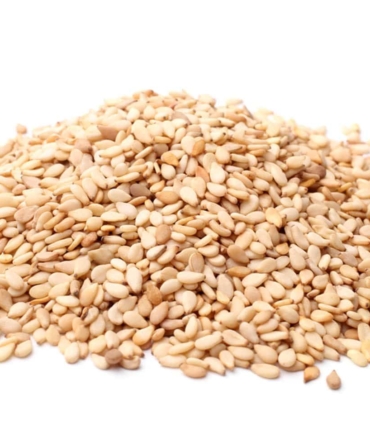 sesame-1