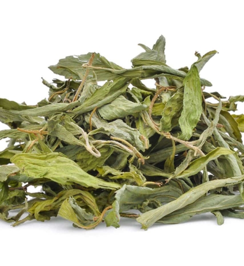 stevia-feuilles